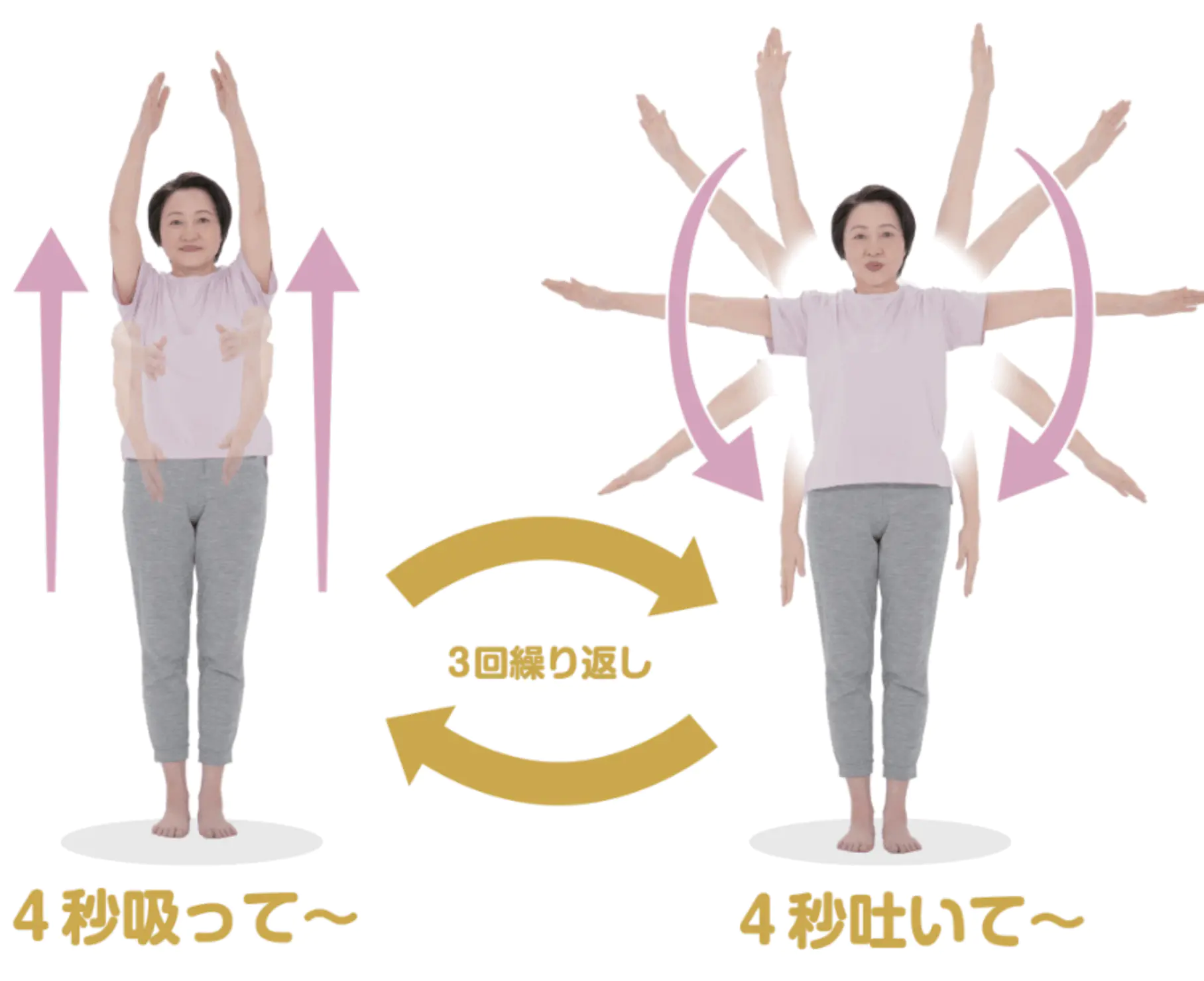 动作②:深呼吸(抬臂吸气、落臂呼气)