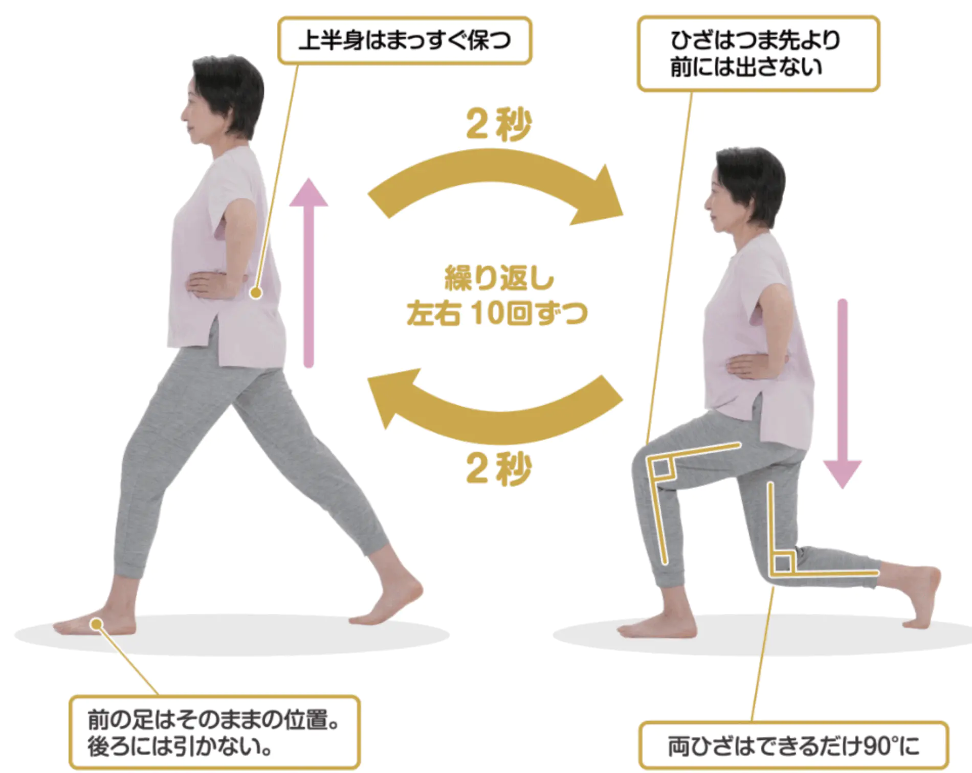 动作③:大腿·臀部肌力训练(迈步下蹲示范)