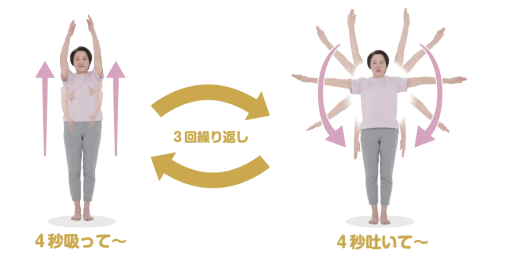 动作⑪:深呼吸(与动作②相同)